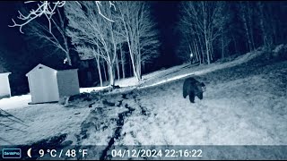 I'M THE JINN!! THIS IS THE SCARIEST FOOTAGE EVER CAPTURED ON A TRAIL CAMERA!!