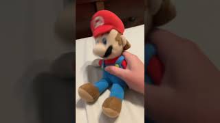 Baby Mario roasts Mario