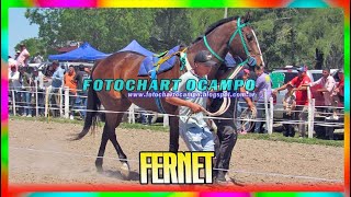 FERNET   San Antonio   Formosa 27 10 2024