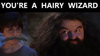 You're a hairy wizard - Harry Potter