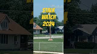 Stalk Watch 2024 #stalker #harassment