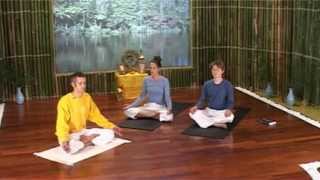 Traditional  Beginners Hatha Yoga Lesson 1 (Full Version )