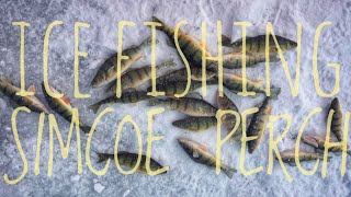 Episode 42 - Ice Fishing Simcoe for some Perch