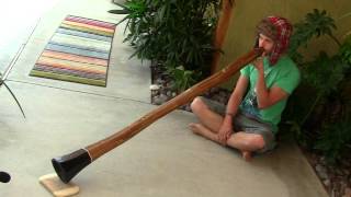 "Quantic" Spruce Didgeridoo by Steven Skinner