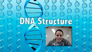 DNA Structure