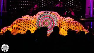 Alpha Portal @ Ozora Festival 2017 part 5 (Astrix & Ace Ventura)