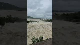 Hirakud Dam Flood Water Release Through Syphon Channe # Wildgrass Entertainment # Shorts