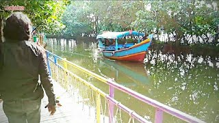 Sunge jingkem ekowisata hutan mangrove & kuliner khas kampung sembilangan kabupaten Bekasi.