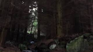 Waterfall in Snowdonia Woods