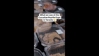 What we saw at the Canadian Reptile Expo in Toronto 😢