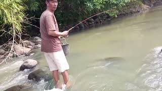 alam desa yg asri,micro fishing..bungah alias senang nnyooo