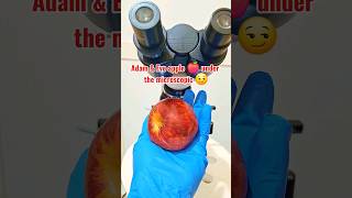 Adam and Eve Apple under the microscope #shortfeed #Apple #microscope #shorts