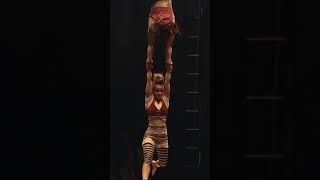 Duo trapeze number from Borders (2015) #circus #trapeze #acrobatics