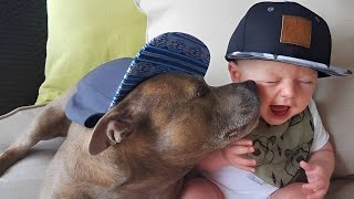 When your dog is the best Nanny!