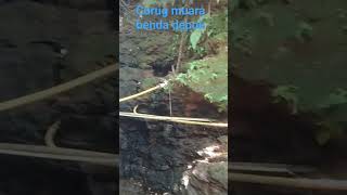 Curug muara benda#kotadepok