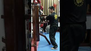 Hong Kong Wing Chun Student Rocks the Wooden Dummy