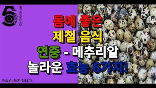 몸에 좋은 제철 음식 연중 - 메추리알 놀라운 효능 6가지!