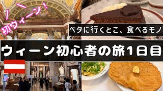 【初ウィーン】オーストリアの最強観光地ウィーンの旅「1日目」に食べる物、見る場所。