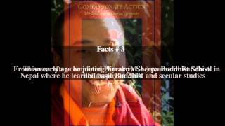 Ngawang Jigdral Rinpoche Top # 7 Facts