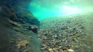 Baignade au Martinet - Gardon 2019 - Cévènes - France