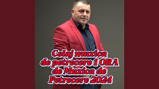 Colaj muzica de petrecere 1 ORA de Muzica de Petrecere 2024