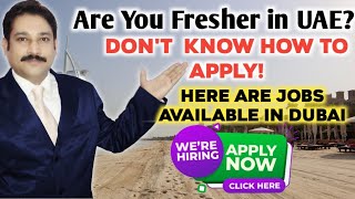 Jobs in Dubai For Freshers| Dubai Jobs | Dubai Job Vacancy 2022