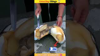 Amazing things 😱 #shorts_viral #shorts