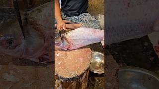 Amazing Rohu Fish Cutting Skills In Bangladesh Fish Market By Expert Cutter #shorts