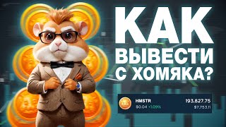 КАК ВЫВЕСТИ МОНЕТЫ ИЗ ХОМЯКА? КАК ПРАВИЛЬНО ПОЛУЧИТЬ АИРДРОП HAMSTER KOMBAT?