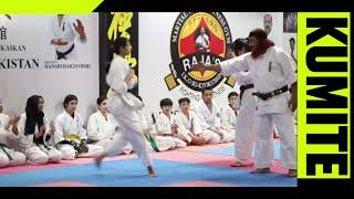 Kyokushin Showdown: Fight for Black and Brown Belt Promotion#sokyokushin #youtube#beltpromotiontest