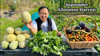 September Allotment Tour & Harvest | Homegrown Garden | Gardening | Grow Your Own Food | Nepali Vlog