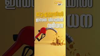 U A E ഇന്ധനവിലയിൽ വർദ്ധന #myfintvbusiness #news