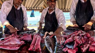 Hardworking Man Tuna Fish Cutting Skills Can't Believe This Attractive Biggest Street Fish Market