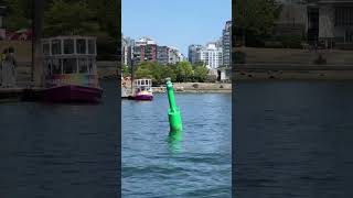 False creek #granvilleisland #travel #boat