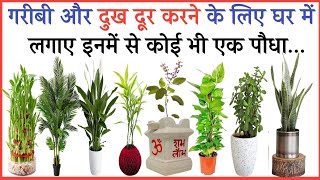 गरीबी दूर करने वाले 12 शुभ पौधे || शिक्षाप्रद विचार || प्रेरणादायक विचार || Lessonable Quotes ||