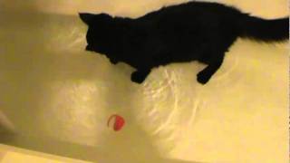 Yahoo playing in the tub