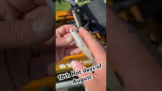 Day 18 Best lures for Hot August Bass Fishing- Berkley weedless Cullshad Swimbait