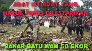 #29 MENGHADIRI ACARA BAKAR BATU 50 EKOR BAB!