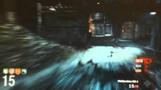 Black ops Zombies   Der Riese    Challenge Game   M1,MP and STG Part2