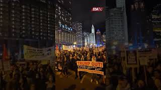 Así REACCIONAN los PROGRES en CHICAGO tras la VICTORIA de Donald TRUMP sobre KAMALA Harris