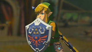 MY HYLIAN SHIELD BROKE!!! WTF