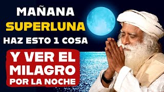 Sadhguru Español | No olvides hacer esto el 17 de octubre de 2024 | Meditación de superluna llena