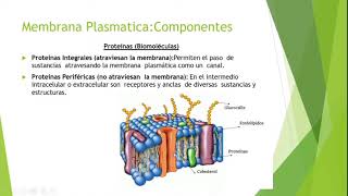 CIEUE BIOLOGÍA - Clase 2