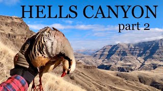 Hells Canyon Chukar and Huns-2021-part 2