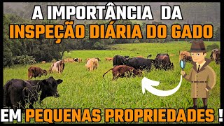 A IMPORTÂNCIA DA INSPEÇÃO DIÁRIA DO GADO NAS PEQUENAS PROPRIEDADES.