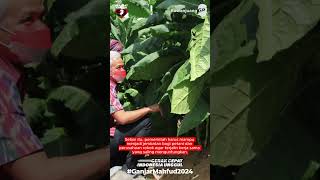 GANJAR PRANOWO LINDUNGI PETANI