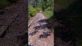 jalan desa ini rusak parah ‼️ Purbalingga Jawa Tengah