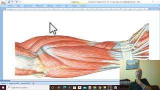 Musculo-skeletal Module I in Arabic 21 ( Muscles of back  of forearm, part 1  ) , by Dr. Wahdan 2022