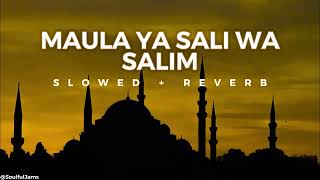 Maula Ya Sali Wa Salim Slowed + Reverb - Soulful Jams