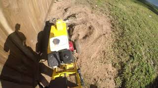 Big stumps and roots vs a 13hp stump grinder